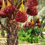 Sexx slike sexx slike