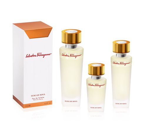 Tuscan Soul Salvatore Salvatore Ferragamo Perfume For Men. Tuscan Soul Salvatore